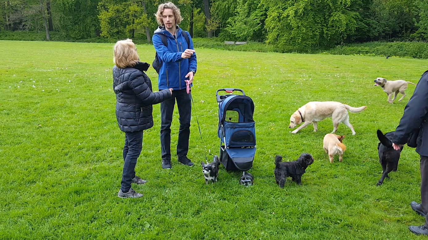 Feetje coaching 1 - scaled Roedeltherapie - Coaching 2