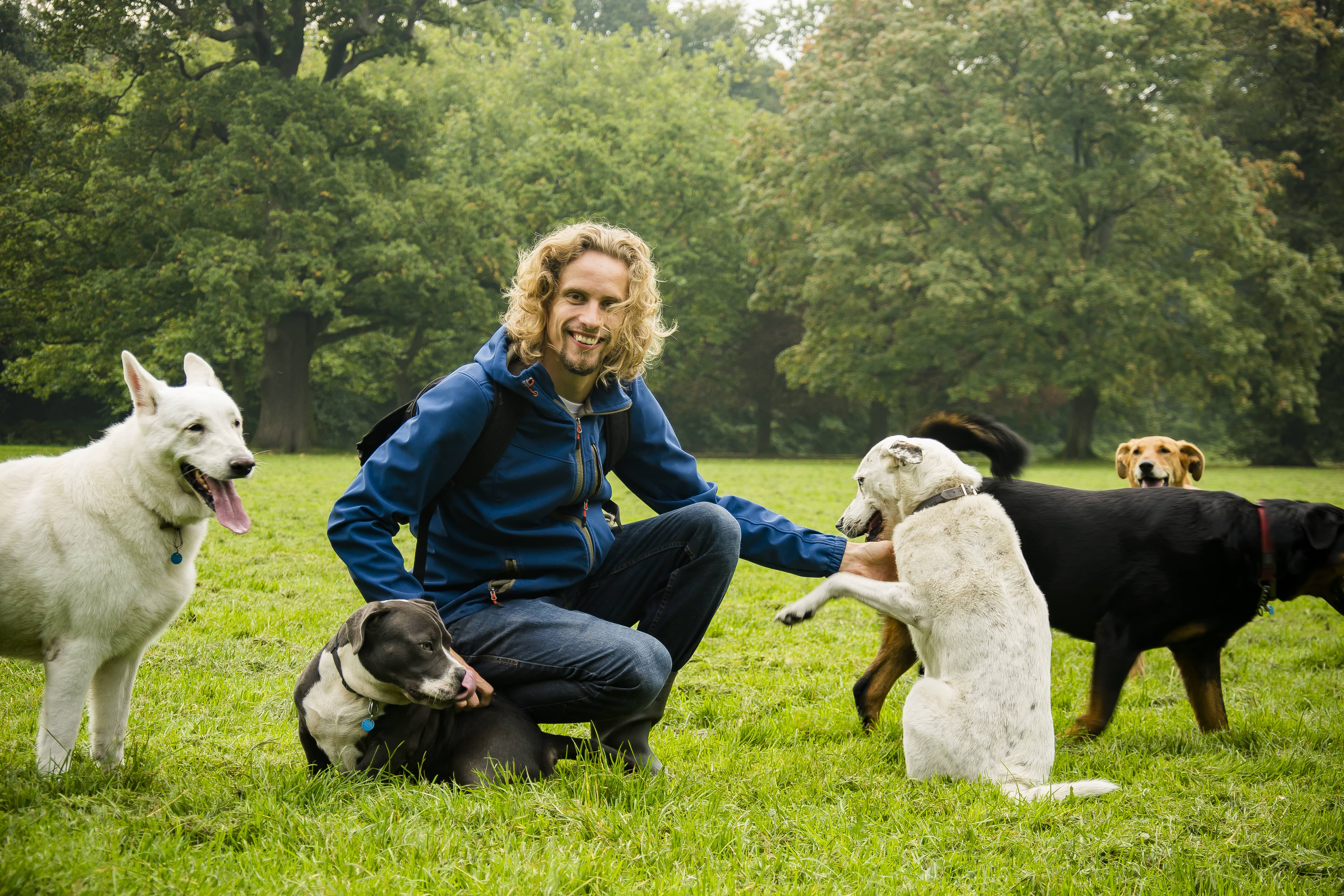 Maikel met roedel hondenopvang-min Roedeltherapie - Maikel met roedel hondenopvang-min